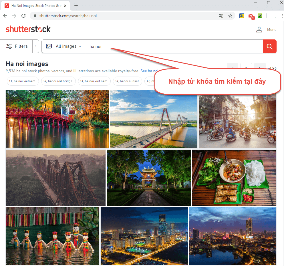 Tìm hình ảnh Shutterstock nhanh nhất